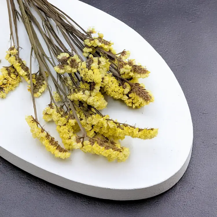 Zatrwian Stabilizowany Żółty 4.png