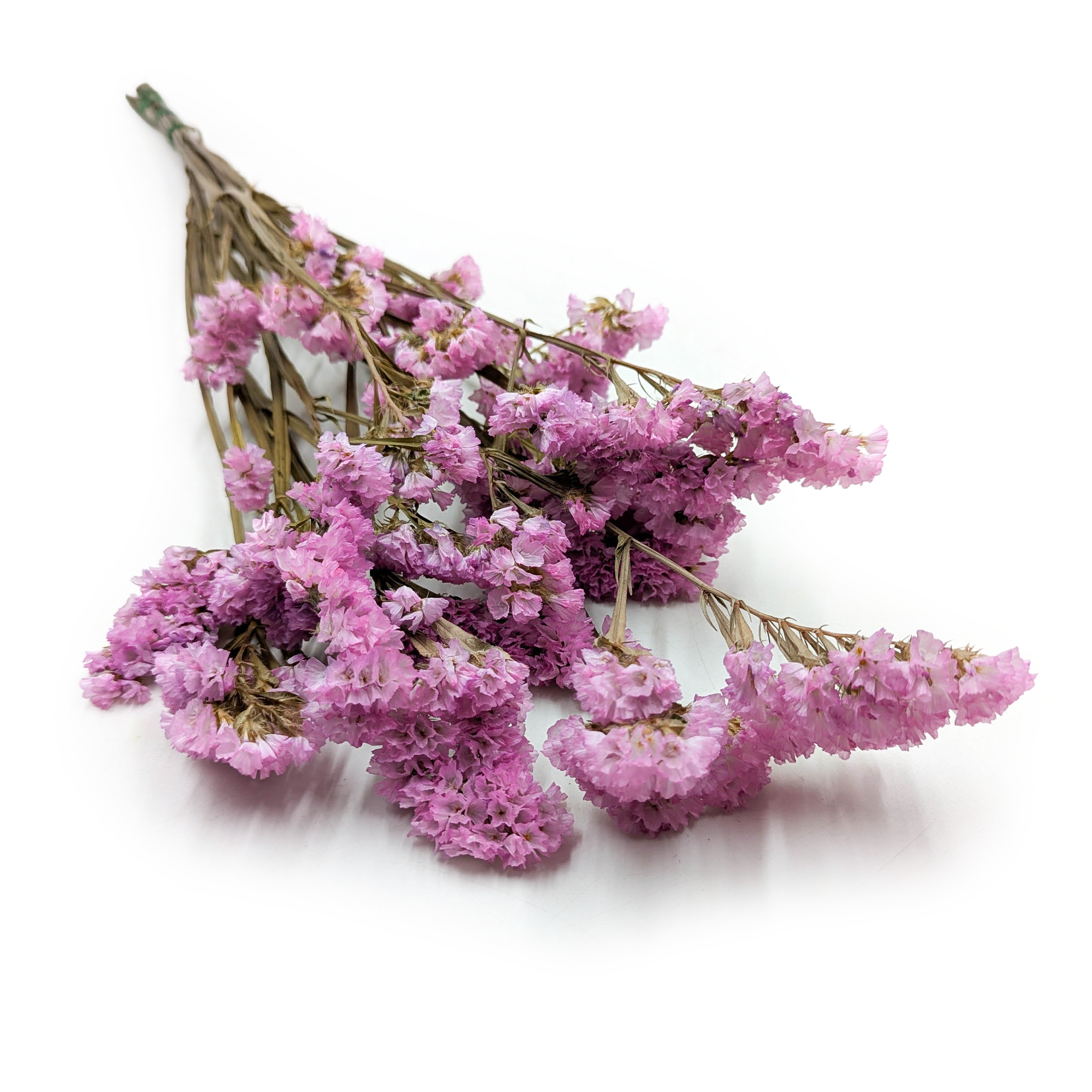 Stabilizowany Zatrwian Wrębny  - Limonium sinuatum - Różowy