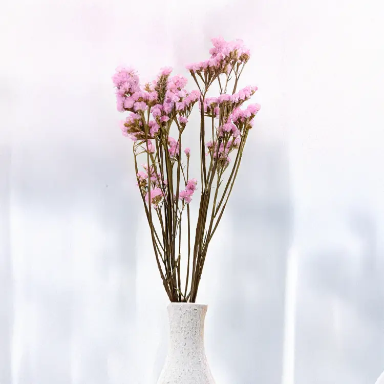 Zatrwian Stabilizowany Różowy.png