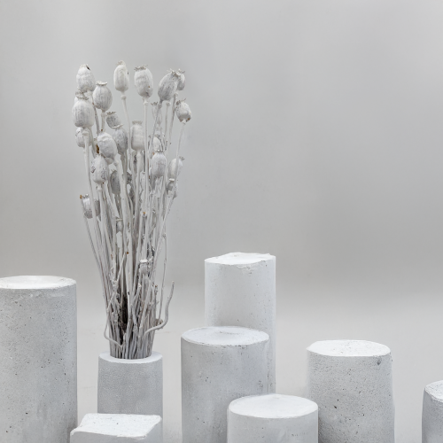 Makowka Bielona Barwiona.png