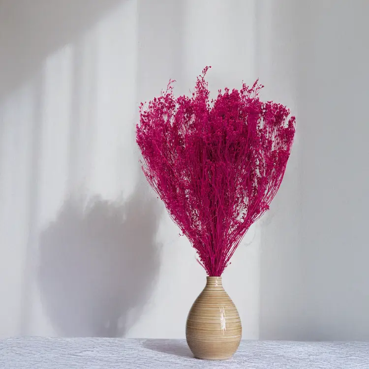 Broom Bloom Fuksja 3.png