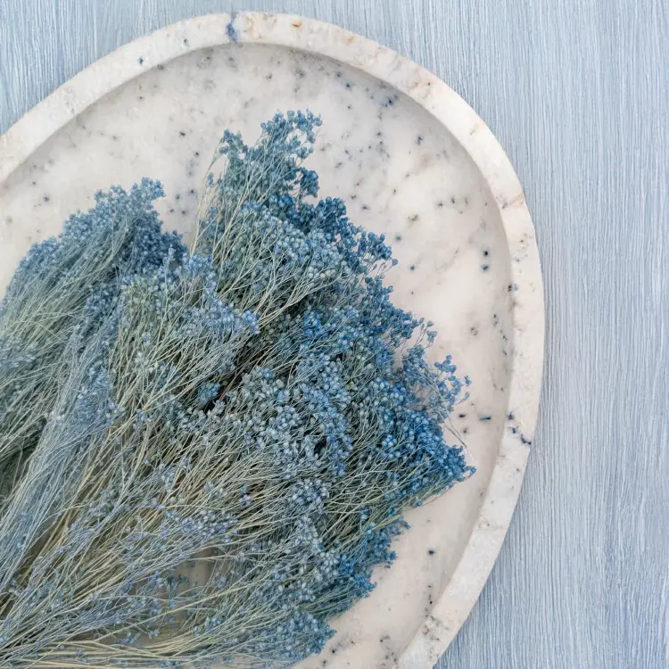 Broom Bloom Jasny niebieski 2.png