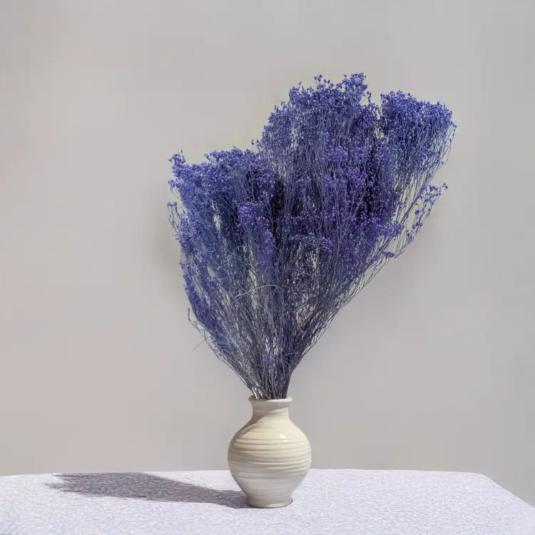 Broom Bloom lawendowy 3.png