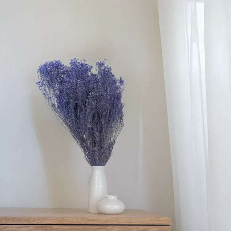 Broom Bloom lawendowy 4.png