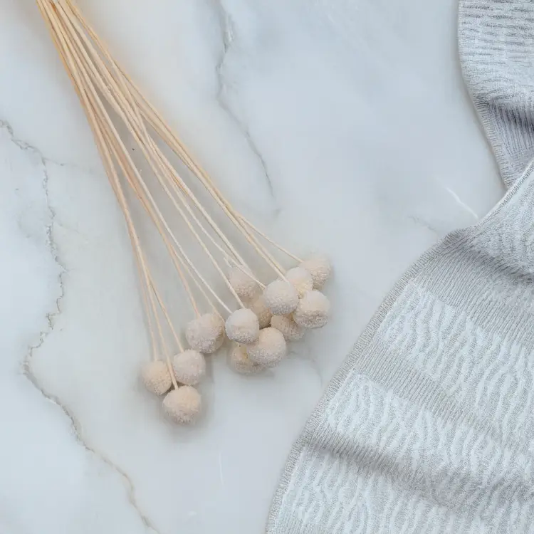 Craspedia biała IT 1.png