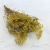 Gipsówka stablilizowana limonka Pastel IT.png