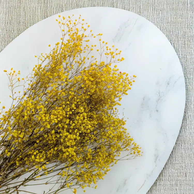 Gipsówka stabilizowana pastelowy żółty 2.png