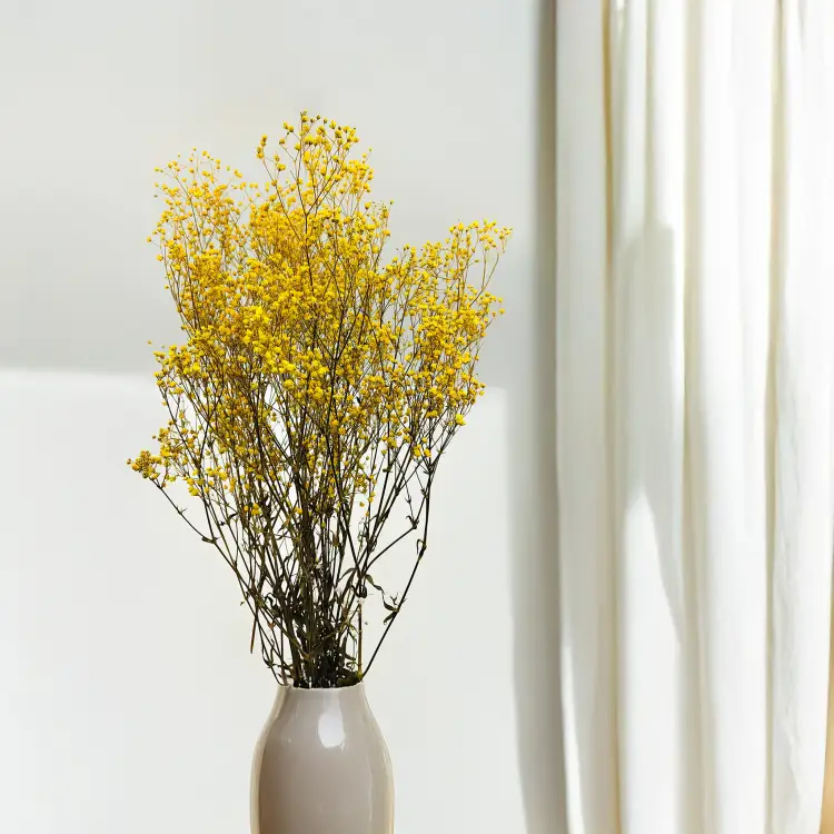 Gipsówka Stabilizowana Limonka IT wazon 1.png