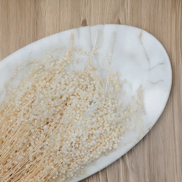 Briza minima bielona 2.png