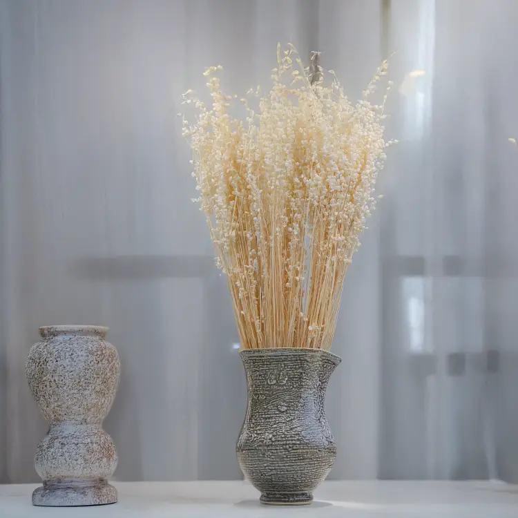 Briza minima bielona 3.png