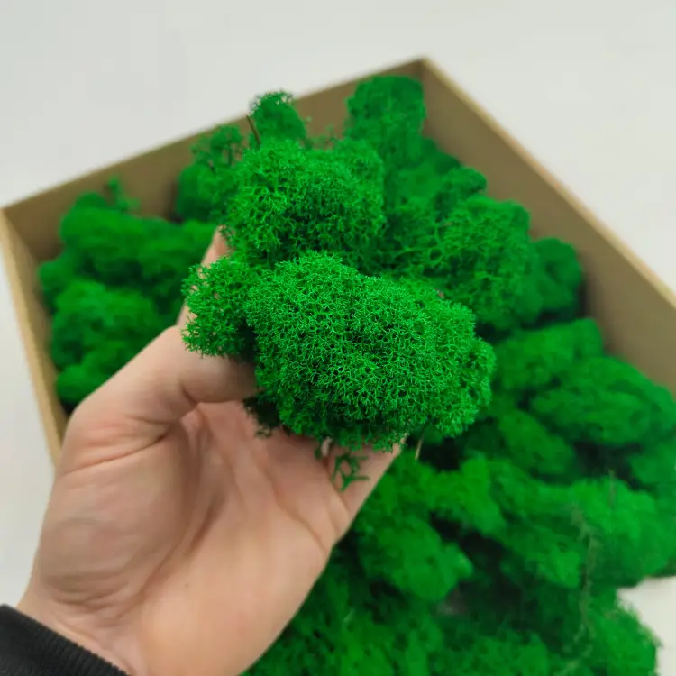 Zielony zblizenie.png