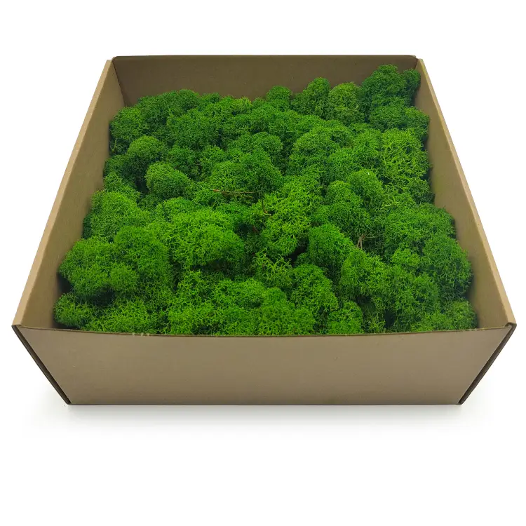 Leśna Zieleń zblizenie 4.png