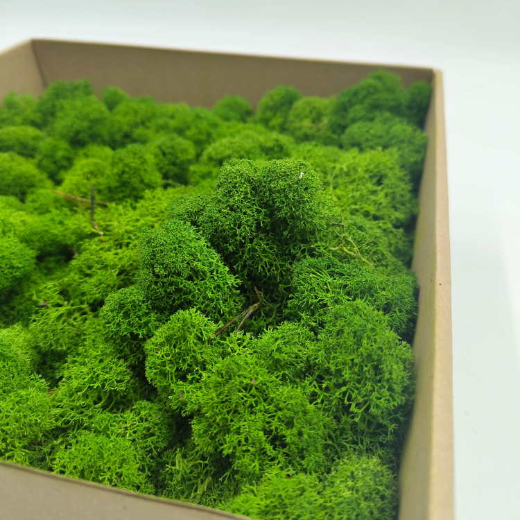 Leśna Zieleń zblizenie 2.png