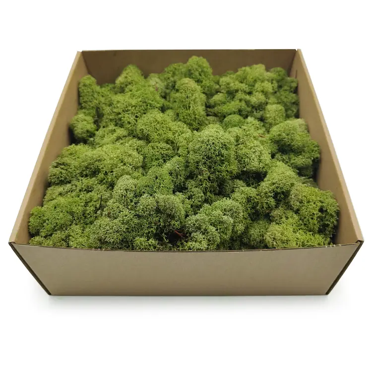 Średnia Zieleń zblizenie 2.png