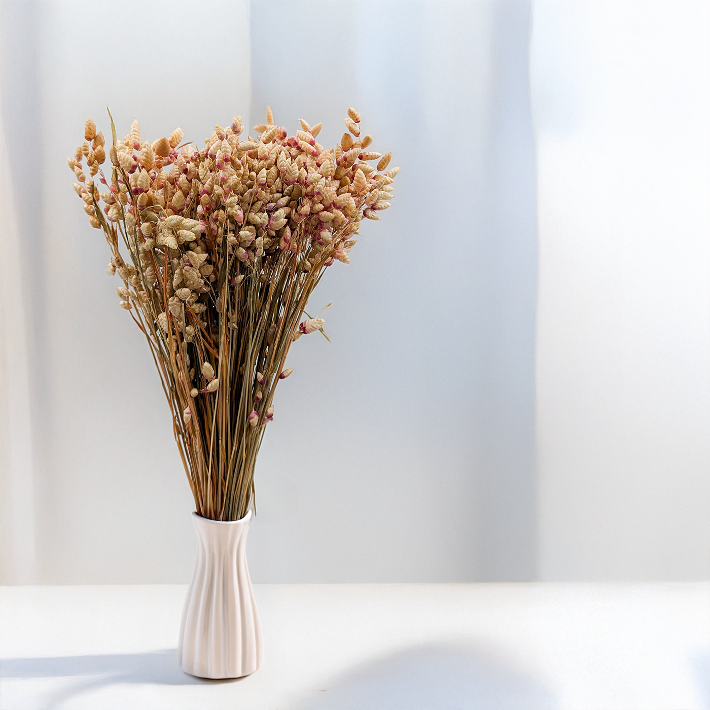 Briza – herbe séchée décorative
