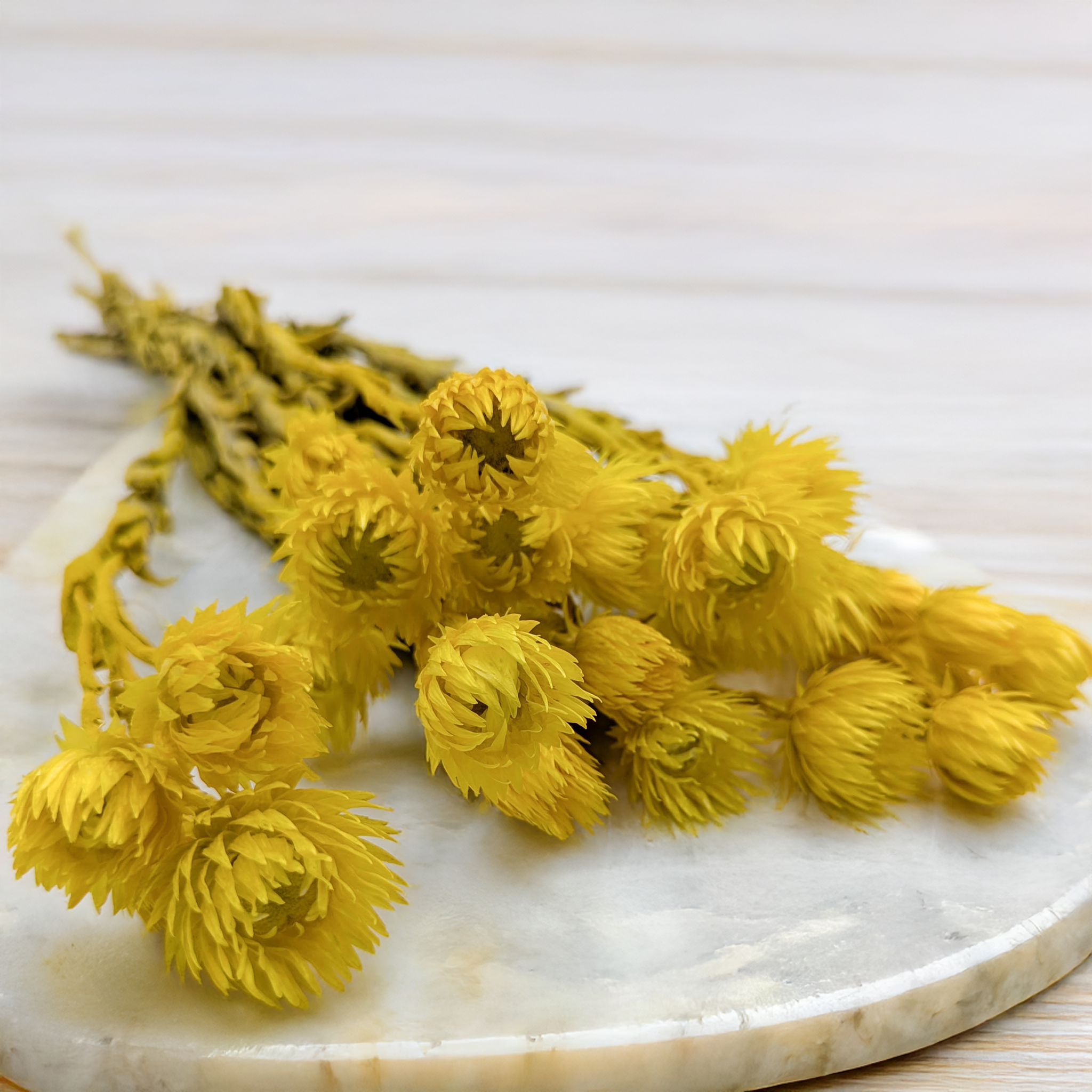 Kaaps jaune