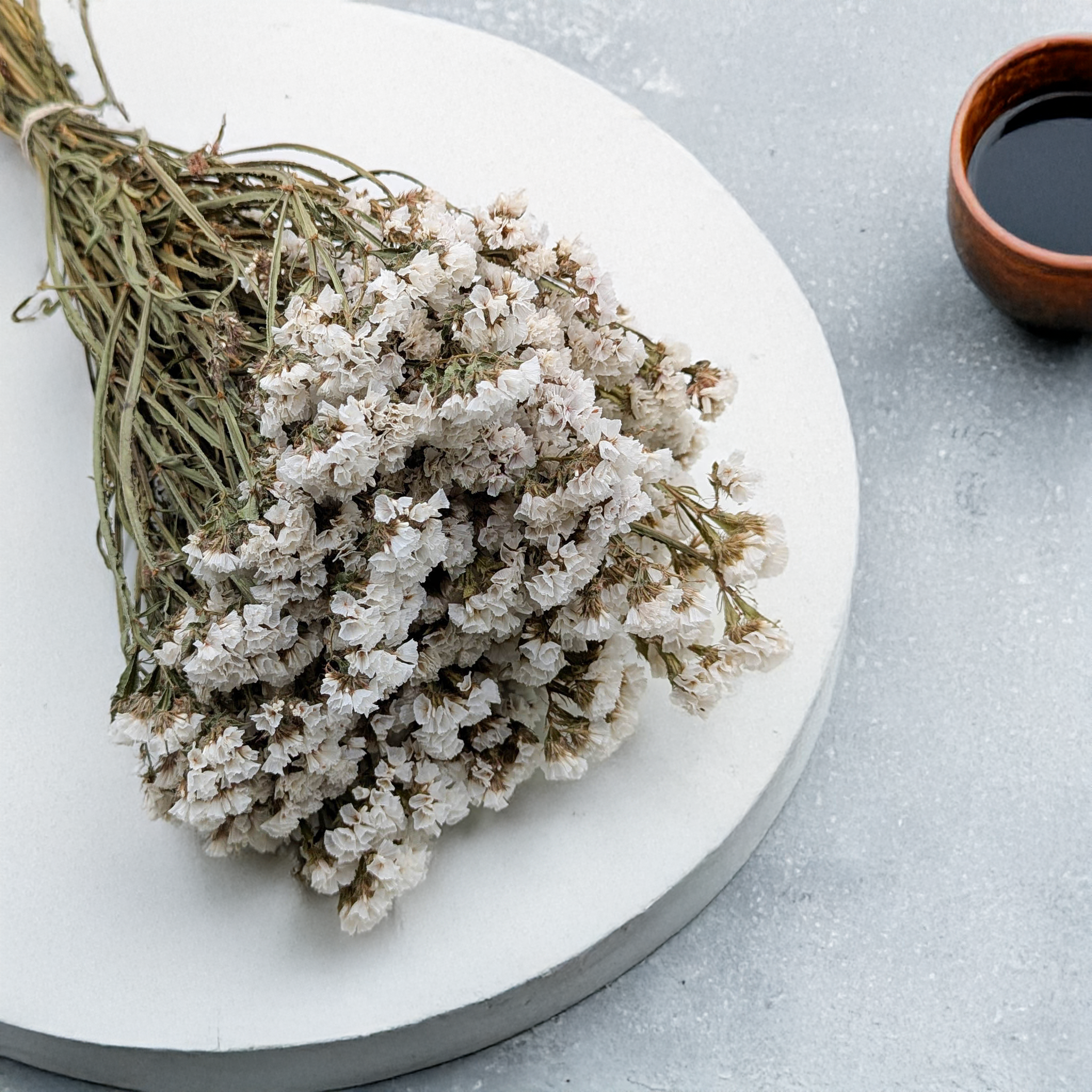 Limonium blanc