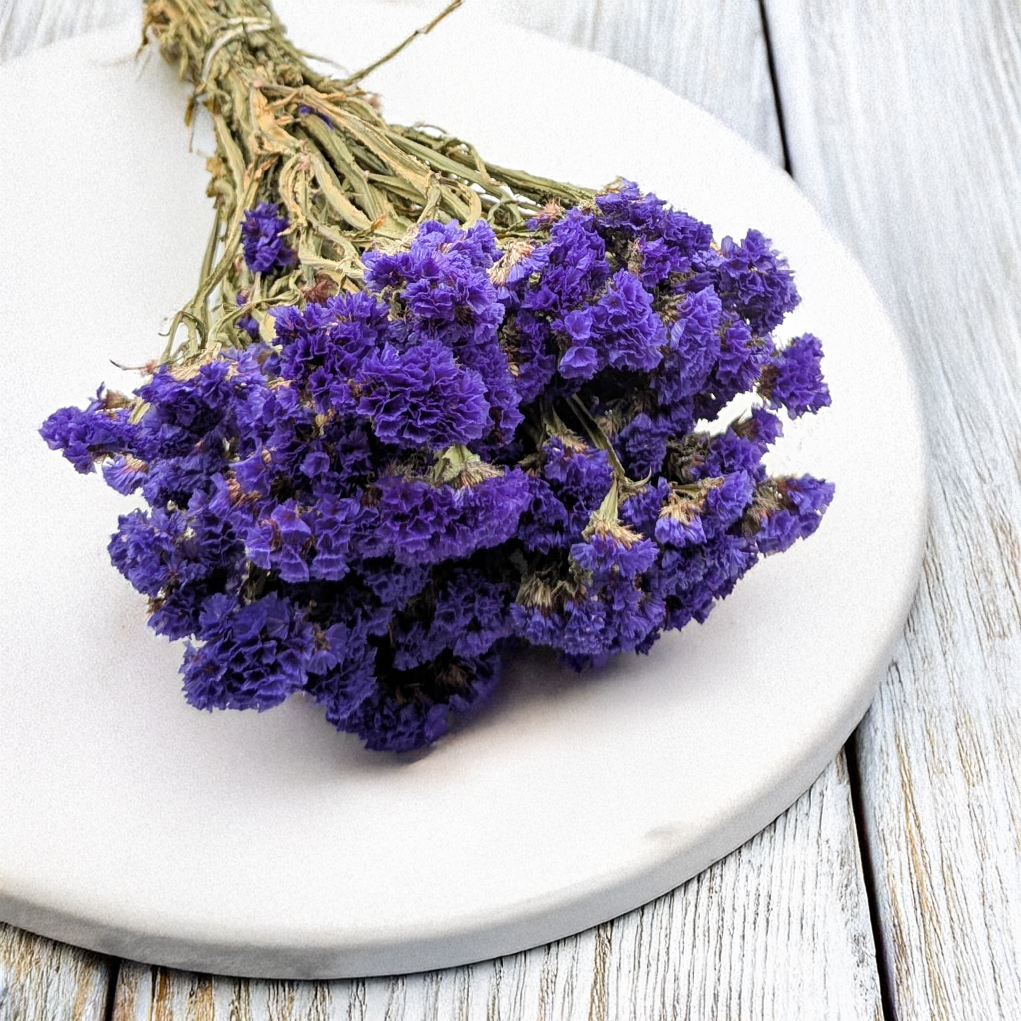Limonium violet