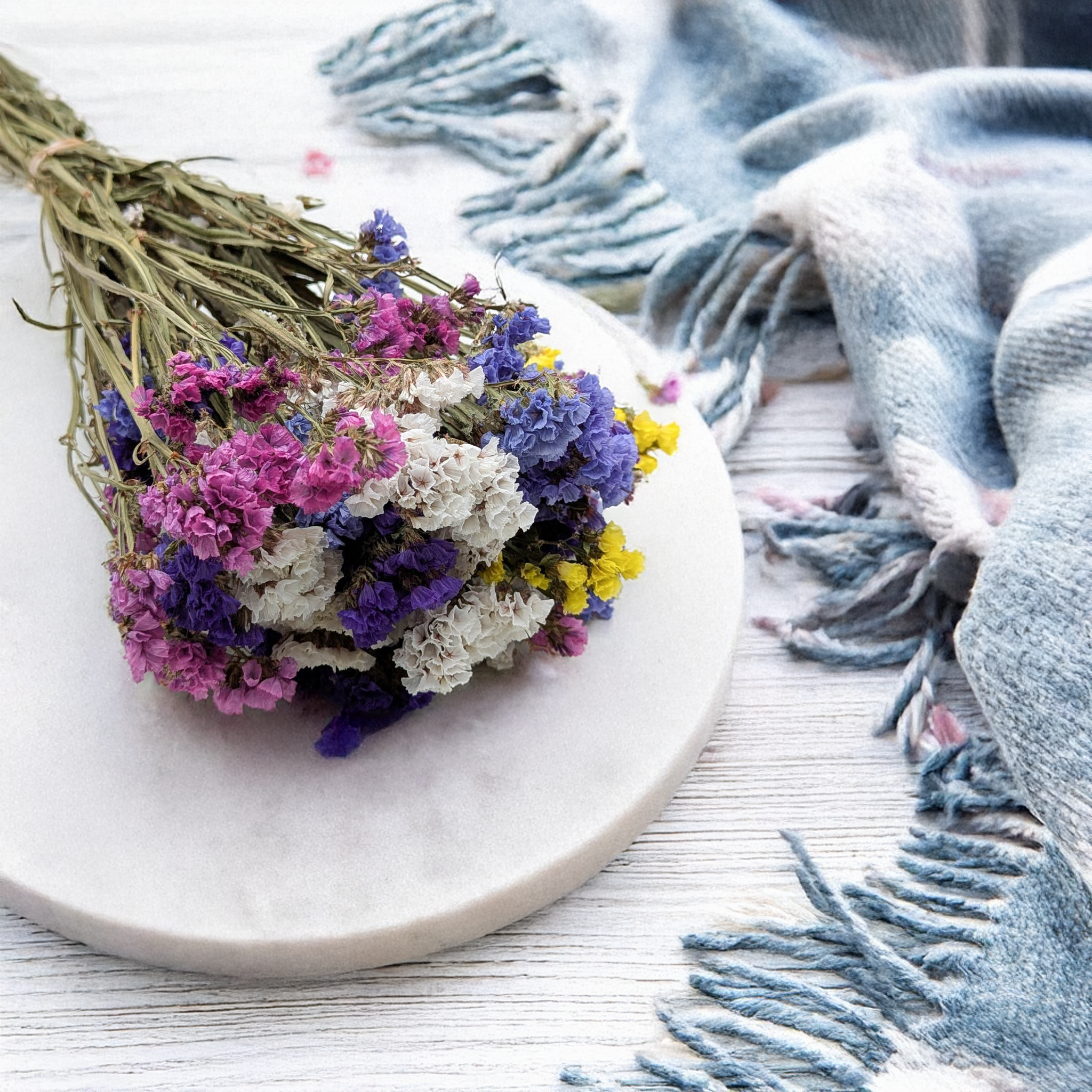Mélange de Limonium