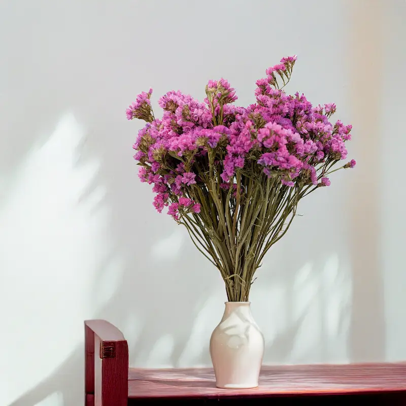 Limonium séché – couleur et structure dans les décorations naturelles