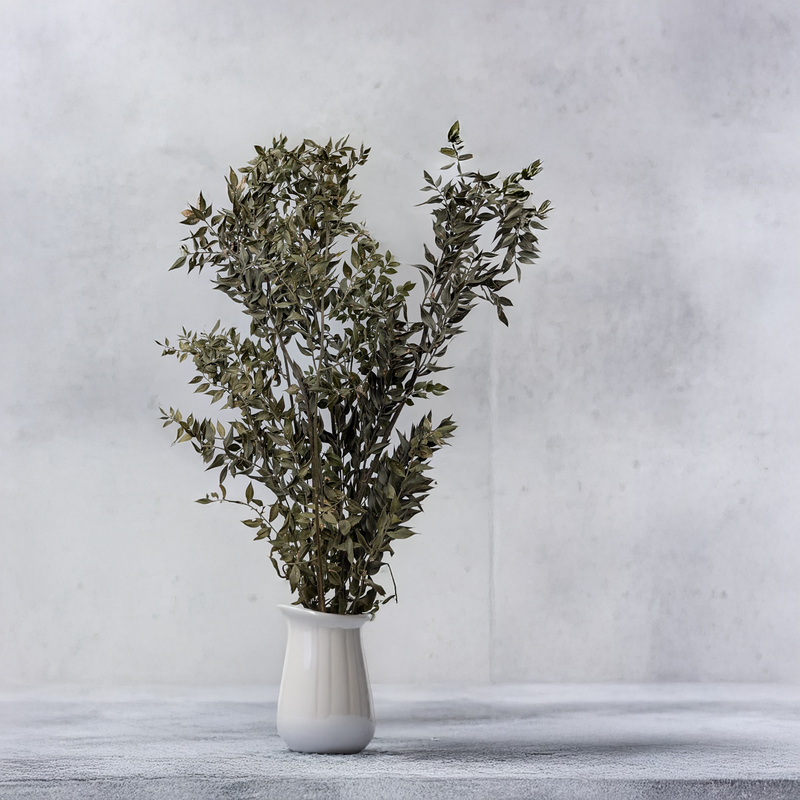 Plantes stabilisées – quelques étapes pour profiter pleinement de leur beauté !